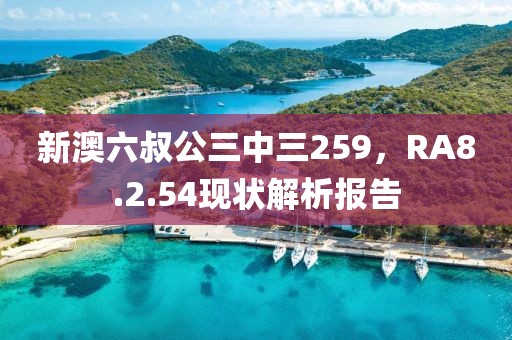 新澳六叔公三中三259，RA8.2.54现状解析报告