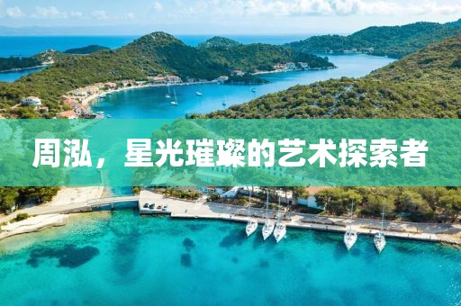 周泓，星光璀璨的艺术探索者