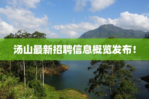 汤山最新招聘信息概览发布！