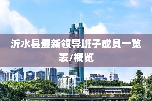 沂水县最新领导班子成员一览表/概览