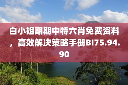 白小姐期期中特六肖免费资料，高效解决策略手册BI75.94.90