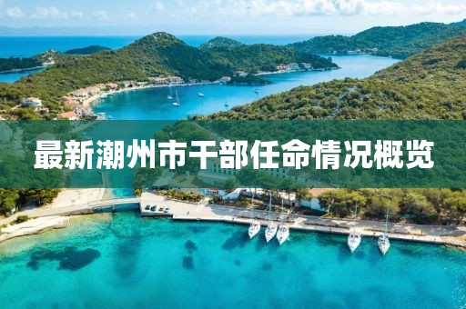 最新潮州市干部任命情况概览