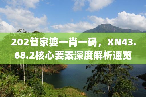 202管家婆一肖一码，XN43.68.2核心要素深度解析速览