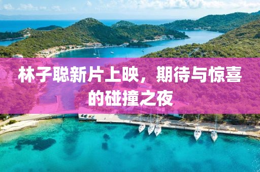 林子聪新片上映，期待与惊喜的碰撞之夜