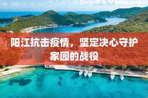 阳江抗击疫情，坚定决心守护家园的战役