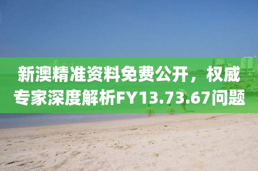 新澳精准资料免费公开，权威专家深度解析FY13.73.67问题
