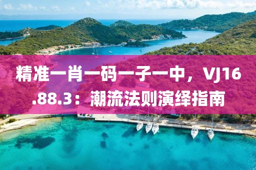 精准一肖一码一子一中，VJ16.88.3：潮流法则演绎指南