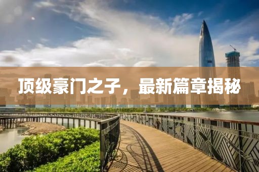 顶级豪门之子，最新篇章揭秘