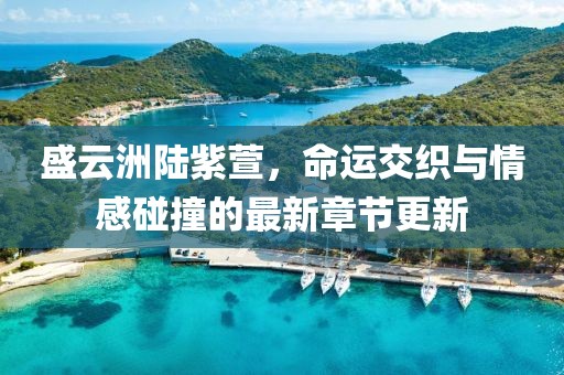盛云洲陆紫萱，命运交织与情感碰撞的最新章节更新