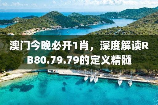 澳门今晚必开1肖，深度解读RB80.79.79的定义精髓