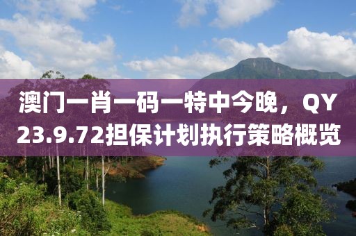 澳门一肖一码一特中今晚，QY23.9.72担保计划执行策略概览