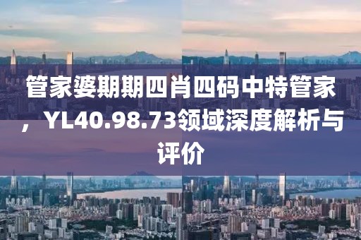 管家婆期期四肖四码中特管家，YL40.98.73领域深度解析与评价