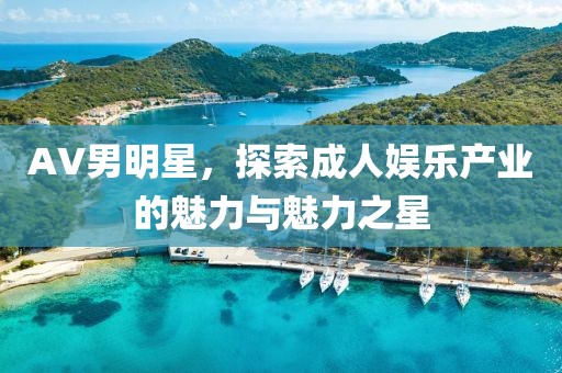 AV男明星，探索成人娱乐产业的魅力与魅力之星