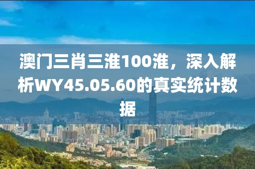 澳门三肖三淮100淮，深入解析WY45.05.60的真实统计数据