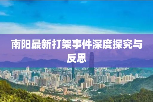 南阳最新打架事件深度探究与反思