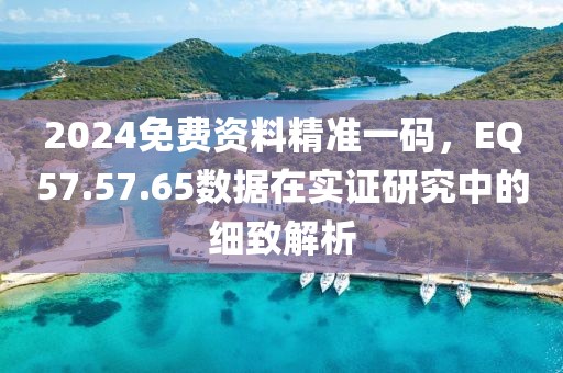 2024免费资料精准一码，EQ57.57.65数据在实证研究中的细致解析