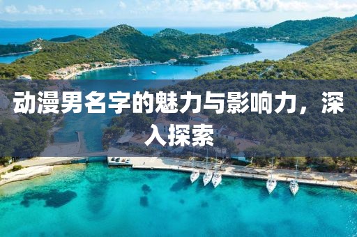 动漫男名字的魅力与影响力，深入探索