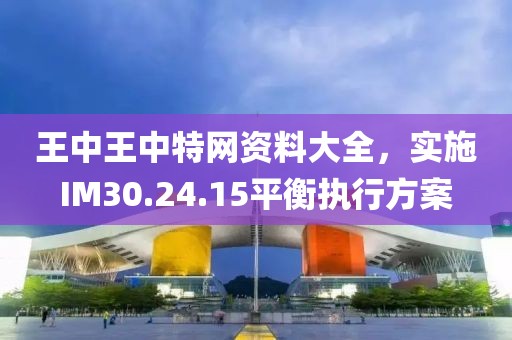 王中王中特网资料大全，实施IM30.24.15平衡执行方案