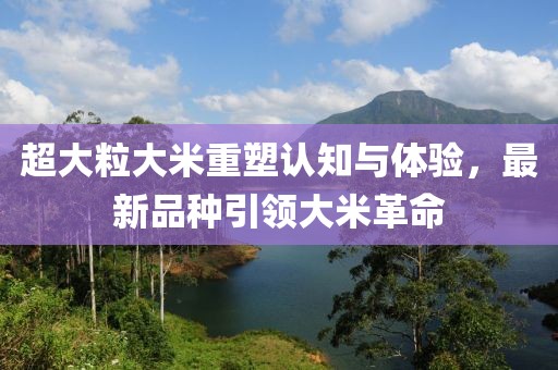 超大粒大米重塑认知与体验，最新品种引领大米革命
