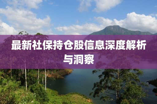 最新社保持仓股信息深度解析与洞察
