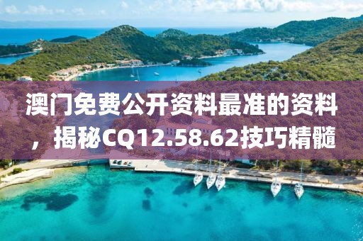 澳门免费公开资料最准的资料，揭秘CQ12.58.62技巧精髓