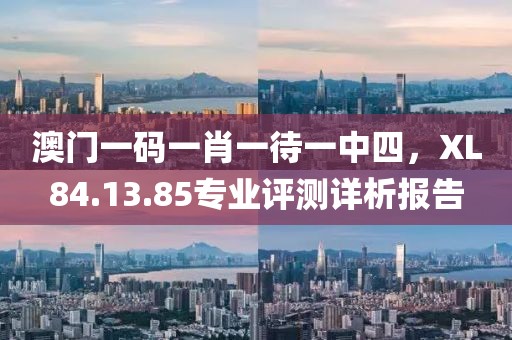 澳门一码一肖一待一中四，XL84.13.85专业评测详析报告