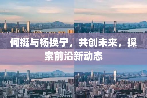何挺与杨换宁，共创未来，探索前沿新动态