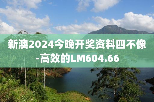 新澳2024今晚开奖资料四不像-高效的LM604.66