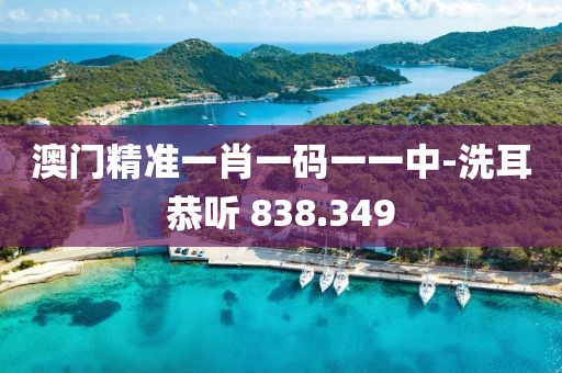澳门精准一肖一码一一中-洗耳恭听 838.349