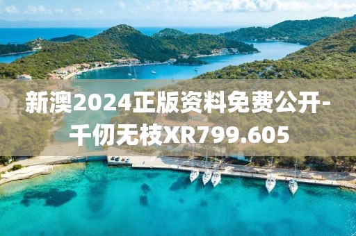 新澳2024正版资料免费公开-千仞无枝XR799.605