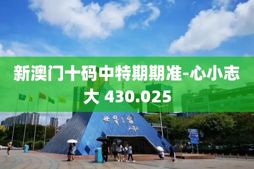 新澳门十码中特期期准-心小志大 430.025
