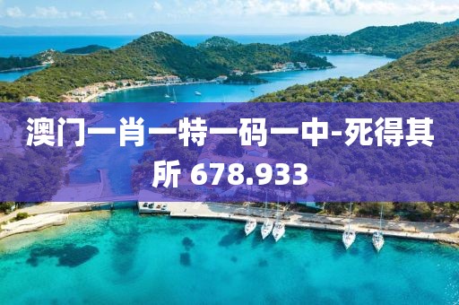 澳门一肖一特一码一中-死得其所 678.933