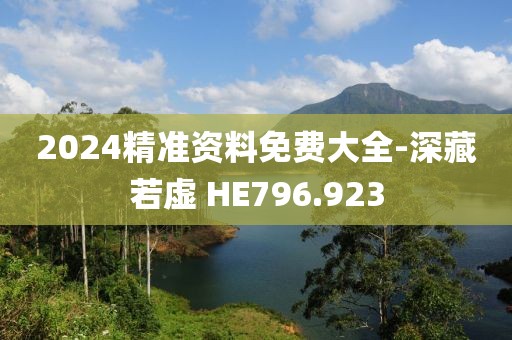 2024精准资料免费大全-深藏若虚 HE796.923