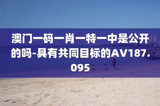 澳门一码一肖一特一中是公开的吗-具有共同目标的AV187.095