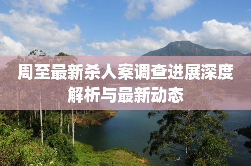 周至最新杀人案调查进展深度解析与最新动态