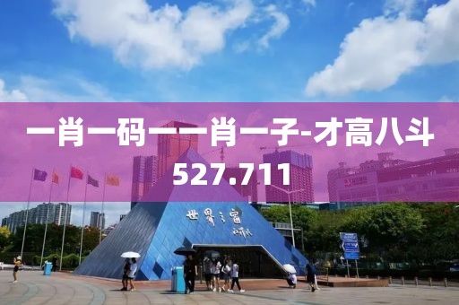 一肖一码一一肖一子-才高八斗527.711
