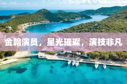 金翰演员，星光璀璨，演技非凡