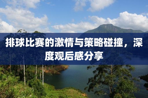 排球比赛的激情与策略碰撞，深度观后感分享