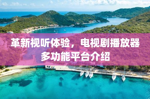 革新视听体验，电视剧播放器多功能平台介绍