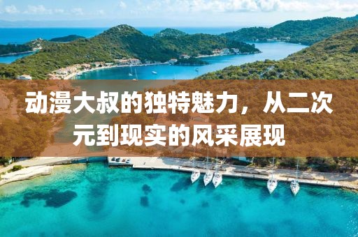 动漫大叔的独特魅力，从二次元到现实的风采展现