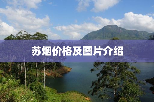 苏烟价格及图片介绍