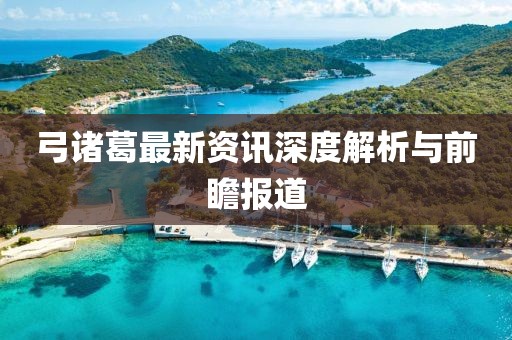弓诸葛最新资讯深度解析与前瞻报道