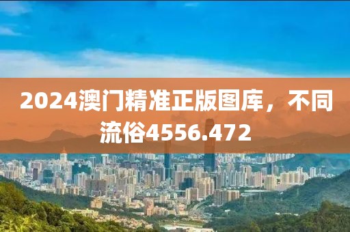 2024澳门精准正版图库，不同流俗4556.472