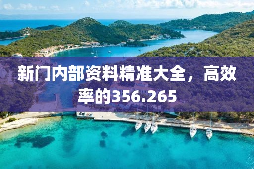 新门内部资料精准大全，高效率的356.265