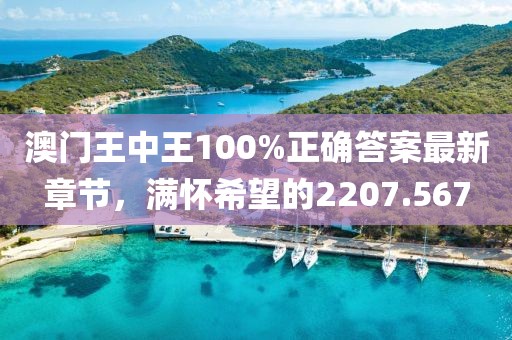 澳门王中王100%正确答案最新章节，满怀希望的2207.567