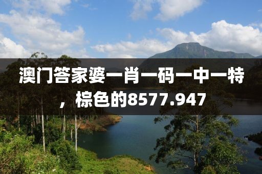 澳门答家婆一肖一码一中一特，棕色的8577.947