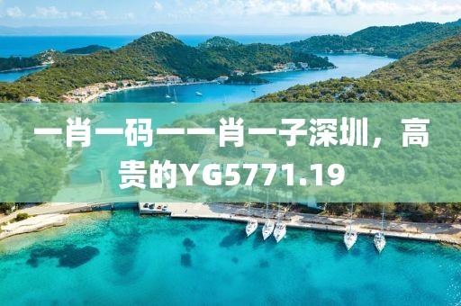 一肖一码一一肖一子深圳，高贵的YG5771.19