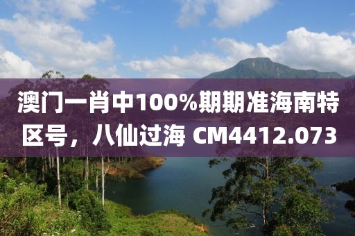 澳门一肖中100%期期准海南特区号，八仙过海 CM4412.073