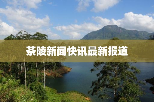 茶陵新闻快讯最新报道
