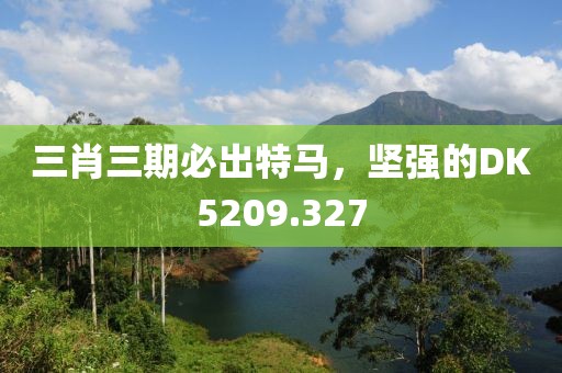 三肖三期必出特马，坚强的DK5209.327